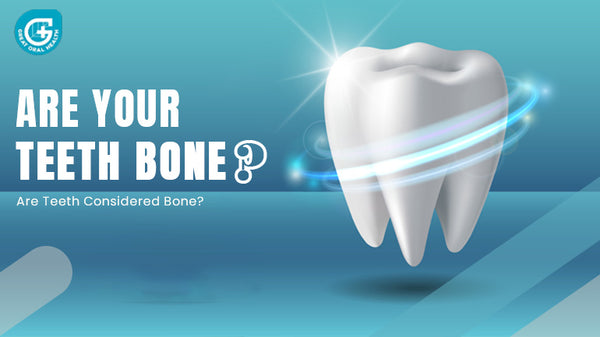 Are your Teeth Bones | Teeth vs Bone - GREAT ORAL HEALTH